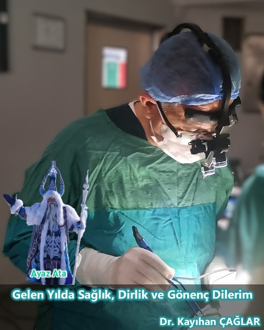 Gelen Yılda Sağlık, Dirlik ve Gönenç Dilerim