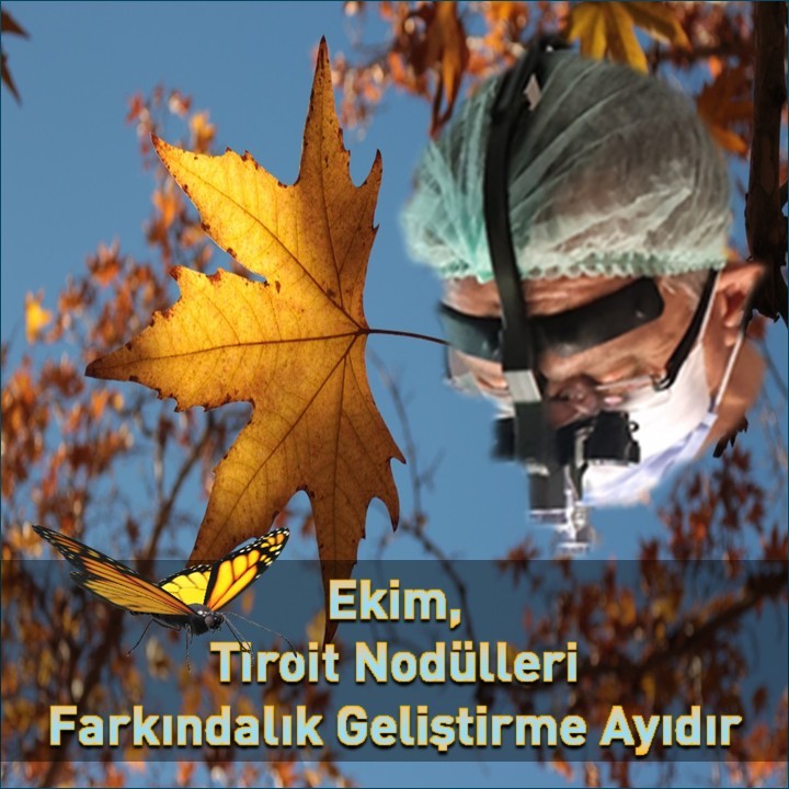 Ekim, Tiroit Nodülleri Farkındalık Geliştirme Ayıdır