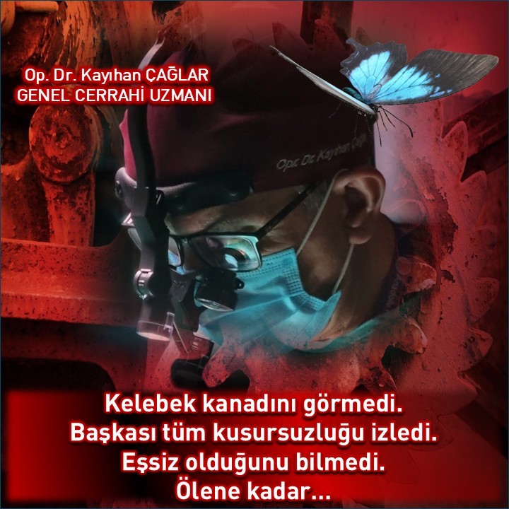 Kelebek kanadını görmedi. Başkası tüm kusursuzluğu izledi. Eşsiz olduğunu bilmedi. Ölene kadar…