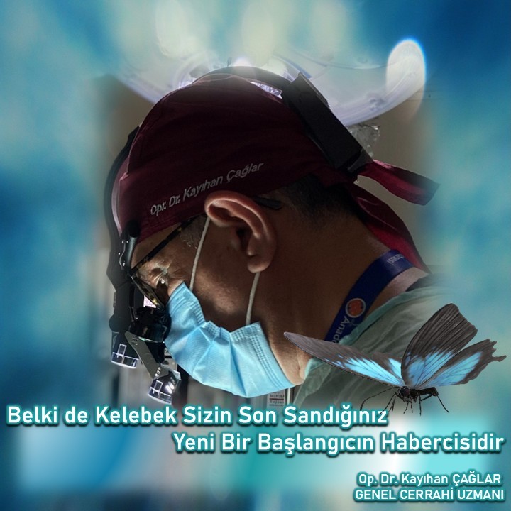 Belki de Kelebek, Sizin Son Sandığınız Yeni Bir Başlangıcın Habercisidir